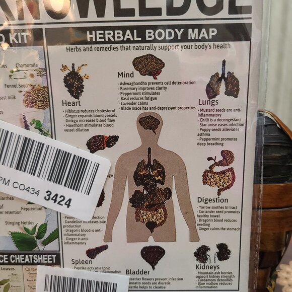 Wholistic Nature Metal Tin First Aid Cooking Remedies Education Info Resource - Picture 3 of 6